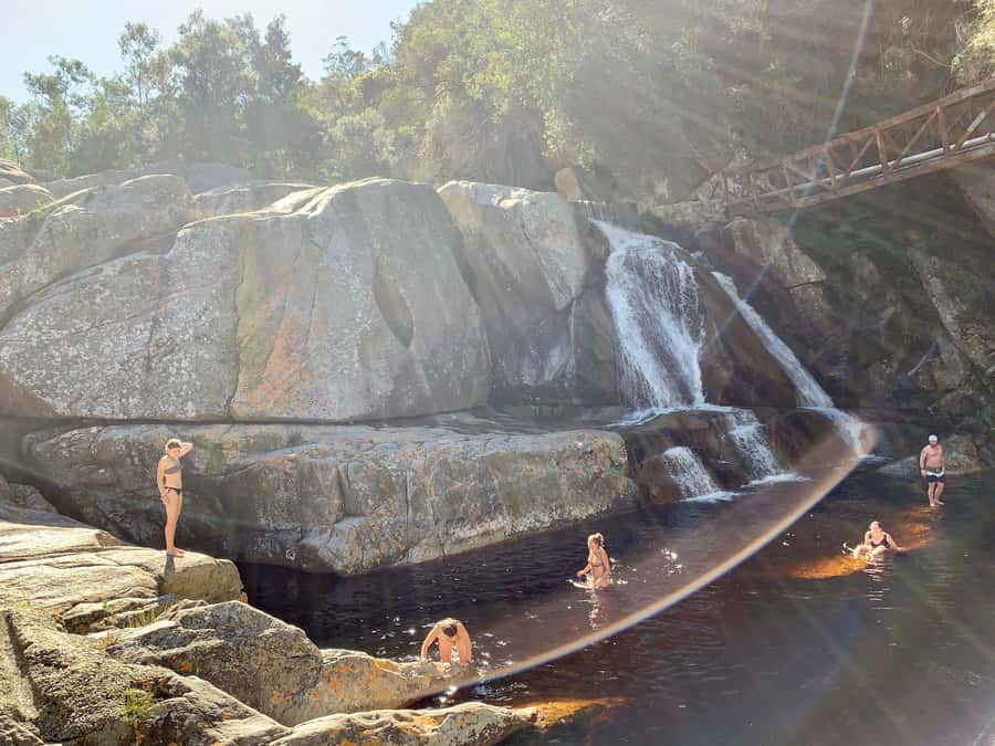 Cape Town: Garden Route and Addo Elephant Park 6-Day Safari - Knysna Heads and Bloukrans: Big Views, Optional Adrenaline, and Tsitsikamma’s Forest-to-Ocean Mix