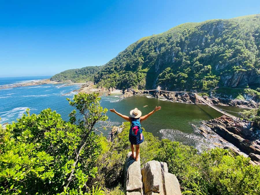 Cape Town: Garden Route and Addo Elephant Park 6-Day Safari - Addo Elephant National Park Safari Time That Actually Feels Like Safari