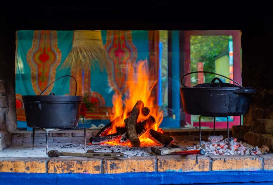 Cape Town: Garden Route and Addo Elephant Park 6-Day Safari - Lodging, Meals, and Group Size: What You Really Get for Your Time