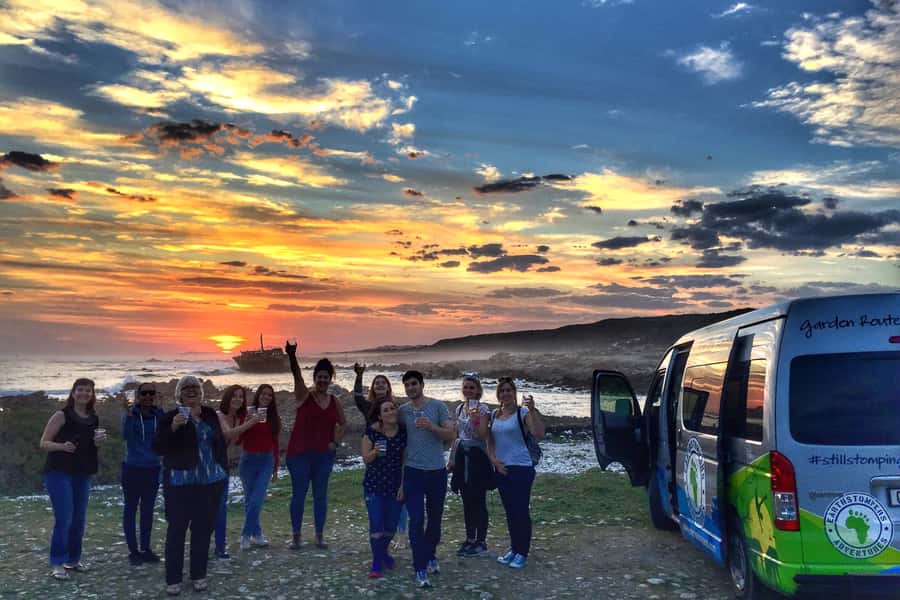 Cape Town: Garden Route and Addo Elephant Park 6-Day Safari - Cape Town to Hermanus: Penguins, Whales, and a Coastal Start That Feels South African