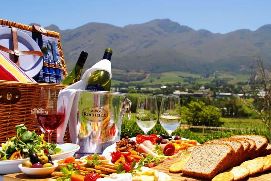 Cape Town: Giraffe House, Cheetah Encounter and Wine Tasting - Why this 8-hour mix of Cape Town, Paarl, and Stellenbosch works