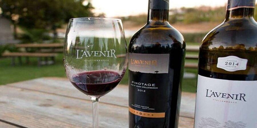 Cape Town: Giraffe House, Cheetah Encounter and Wine Tasting - Who this Dove Tours day suits best