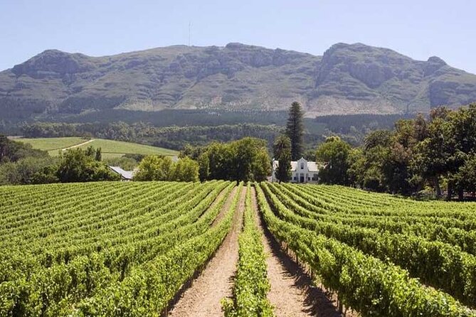 Cape Town Giraffe House, Cheetah Encounter and Wine Tasting Tour - What to pack (so the day feels easy)