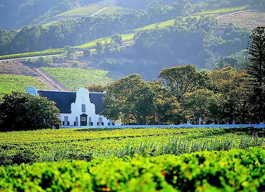 Cape Town: Giraffe House, Cheetah Encounter and Wine Tasting - Cape Town city time, then the countryside rhythm begins