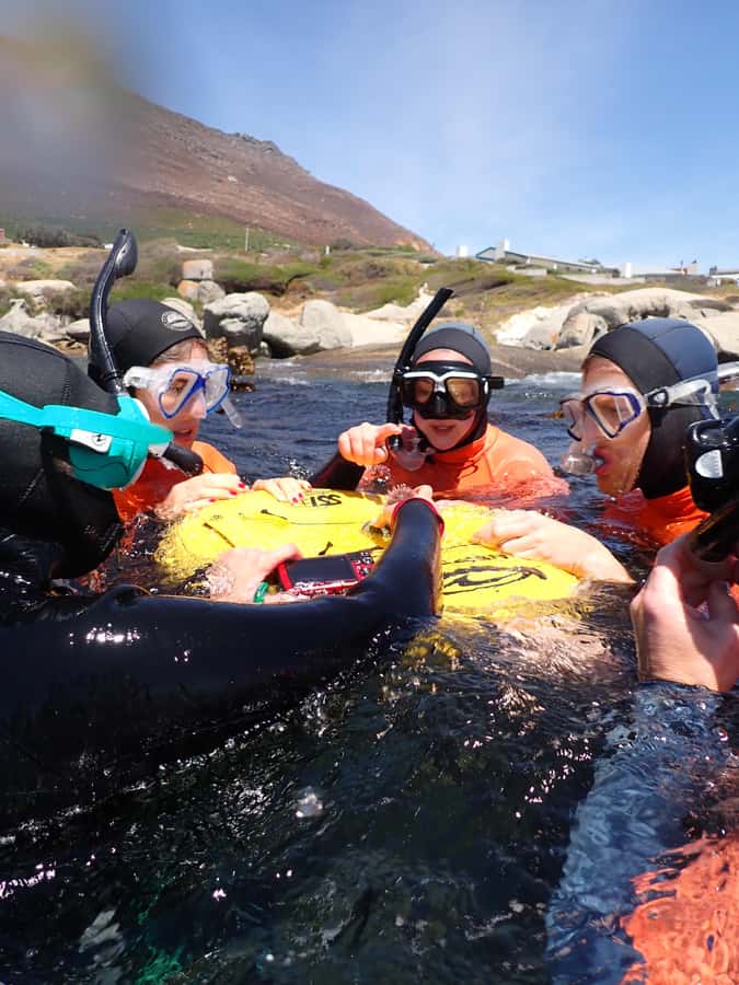 Cape Town: Great African Sea Forest Guided Snorkel - Key Points to Know Before You Go