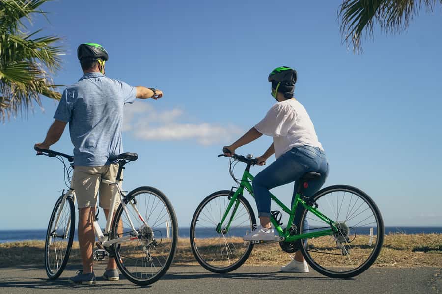 Cape Town Guided City Cycling Heritage Tour - Private Tour - Seapoint Promenade and Robben Island Views From Your Bike
