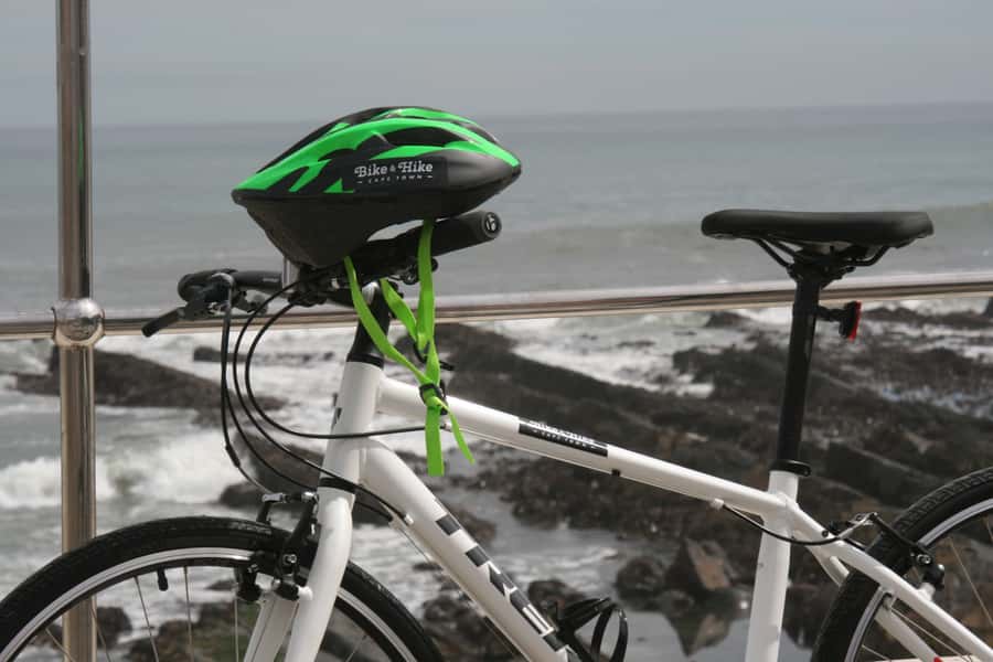 Cape Town Guided City Cycling Heritage Tour - Private Tour - Company Gardens: Parliament Passes, Botanical Calm, Coffee Break