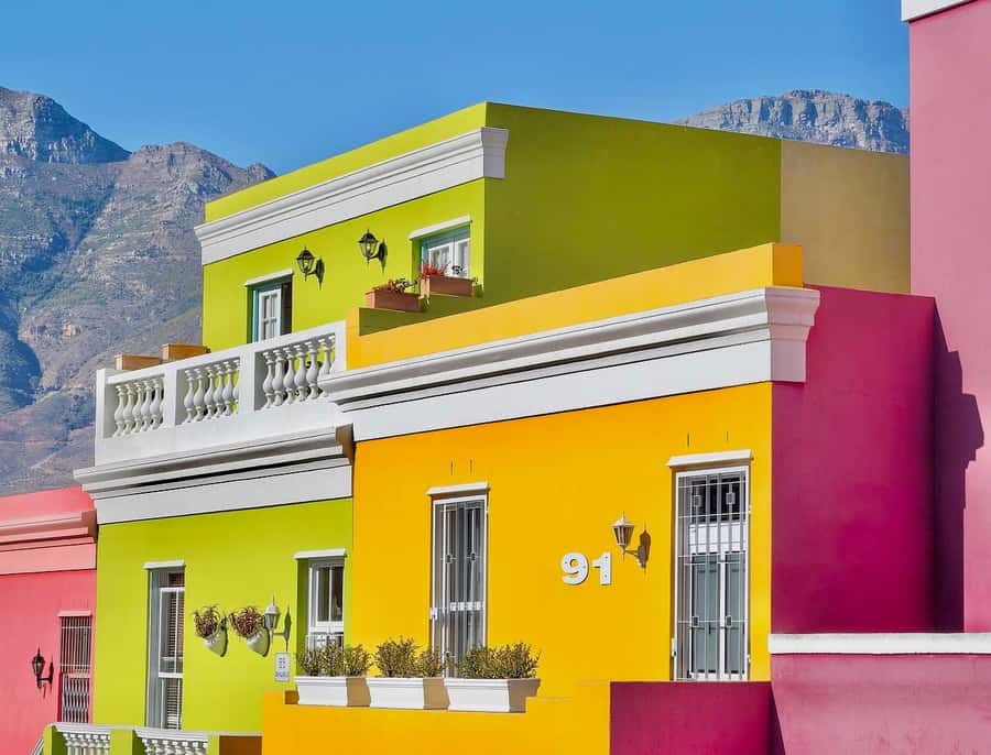 Cape Town: Guided Half-Day City Tour with Table Mountain - Company Gardens, South African Museum, and the City’s Practical Heart