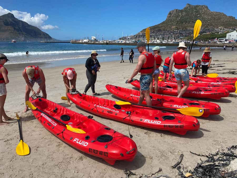 Cape Town: Guided Kayak Tour - Safety briefing first, then down to the beach