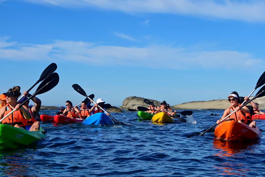 Cape Town: Guided Kayak Tour of Clifton Beaches & The Coast - Clifton from the water: Table Mountain, Lions Head, and the Twelve Apostles