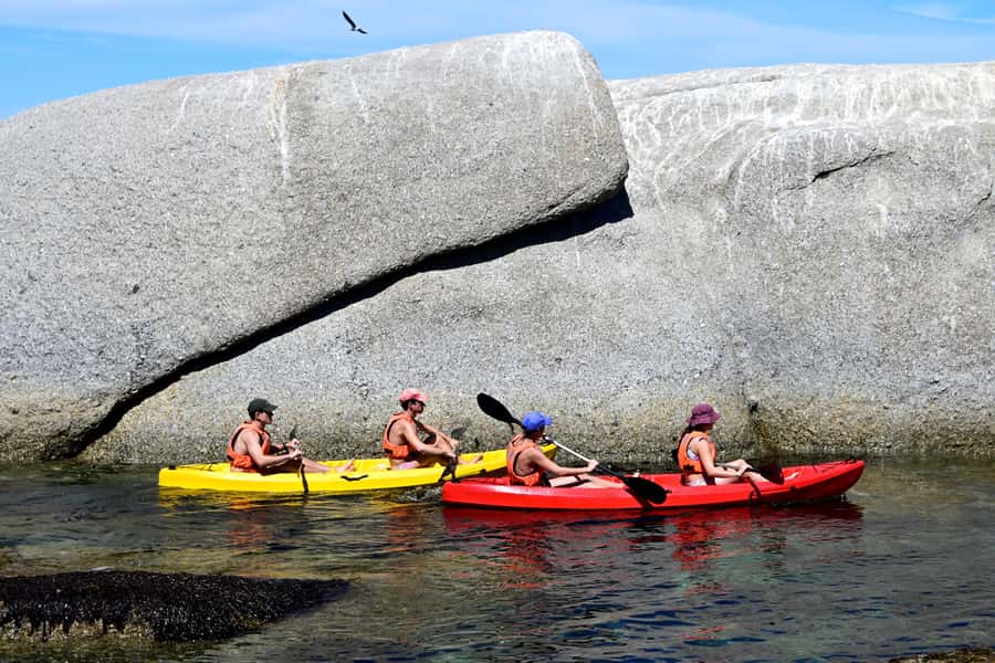 Cape Town: Guided Kayak Tour of Clifton Beaches & The Coast - The seal colony stop and Maiden’s Cove rock pools