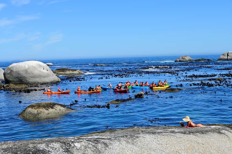 Cape Town: Guided Kayak Tour of Clifton Beaches & The Coast - Price and value: $49 for 90 minutes on the water