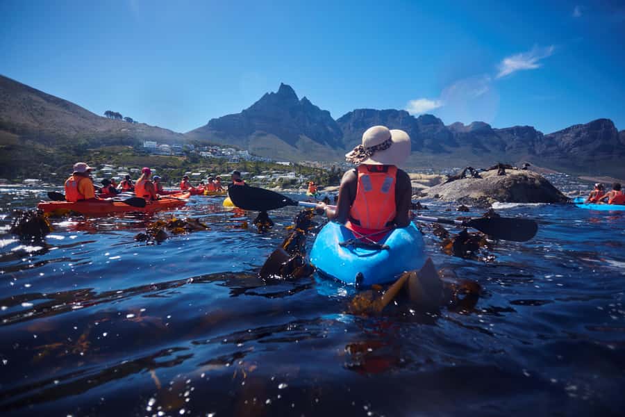 Cape Town: Guided Kayak Tour of Clifton Beaches & The Coast - After the kayak: stay in Clifton or head to Camps Bay