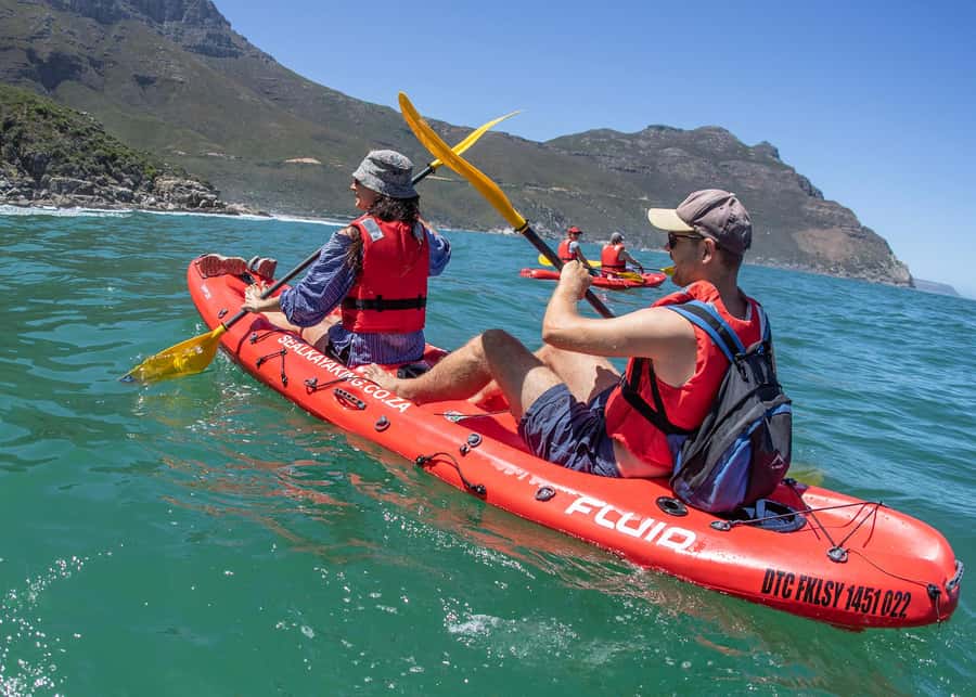 Cape Town: Guided Kayak Tour - Where to meet Animal Ocean in Hout Bay