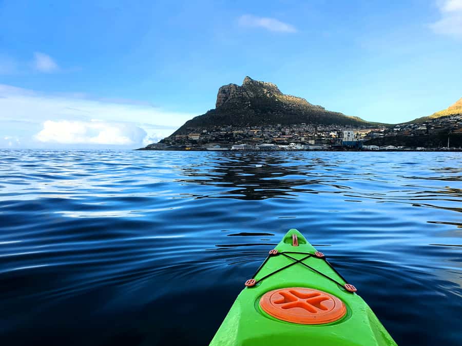 Cape Town: Guided Kayaking in Hout Bay - Kayak Adventures in Hout Bay, what it really feels like