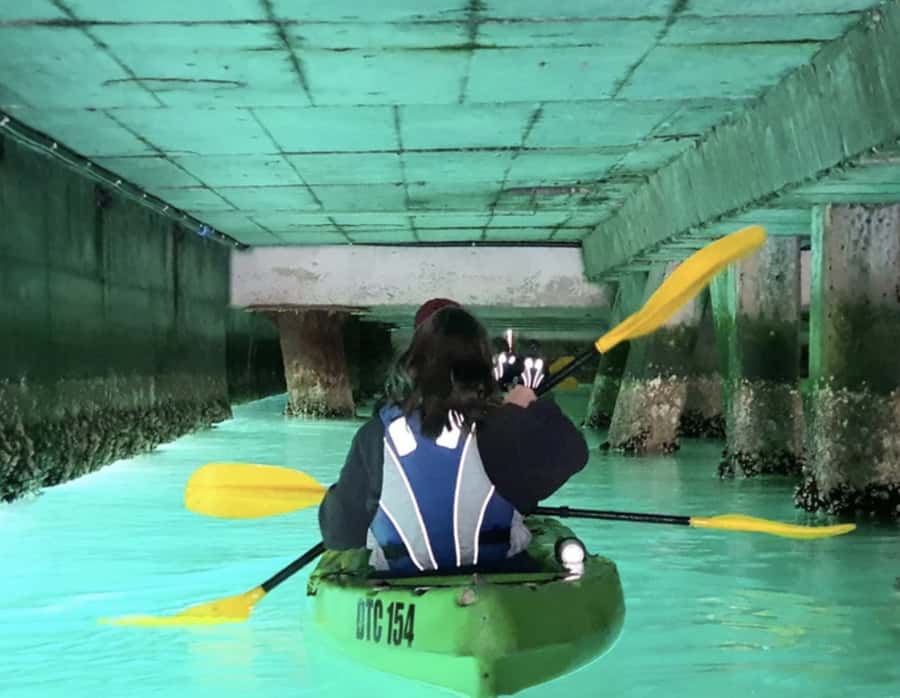 Cape Town: Guided Kayaking in Hout Bay - Two hours on the water: what you do minute by minute (in spirit)