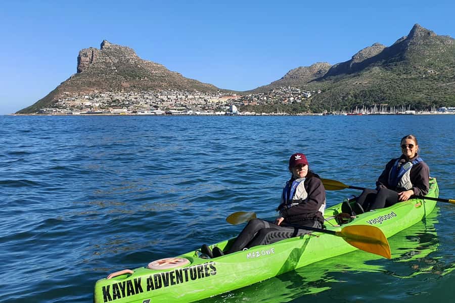 Cape Town: Guided Kayaking in Hout Bay - Wildlife watching: seals, dolphins, sea lions, and the big surprise
