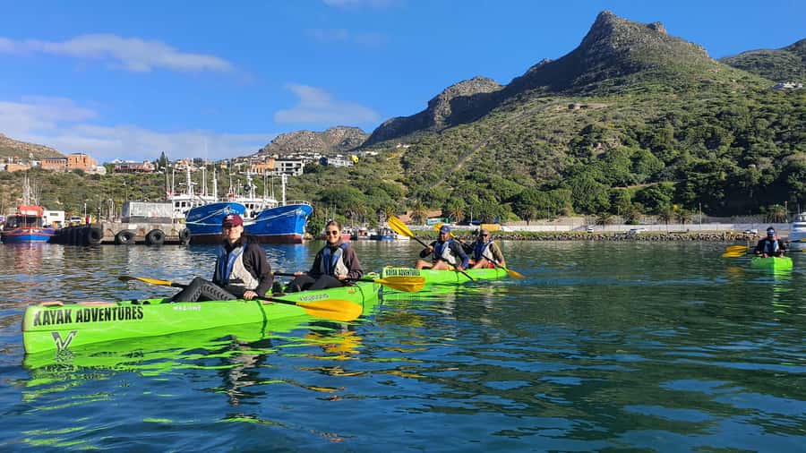 Cape Town: Guided Kayaking in Hout Bay - Weather, wind, and timing: how to avoid a tough 2 hours