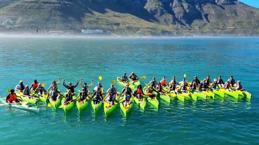 Cape Town: Guided Kayaking in Hout Bay - Price and value: $37 for gear, guidance, and real proximity