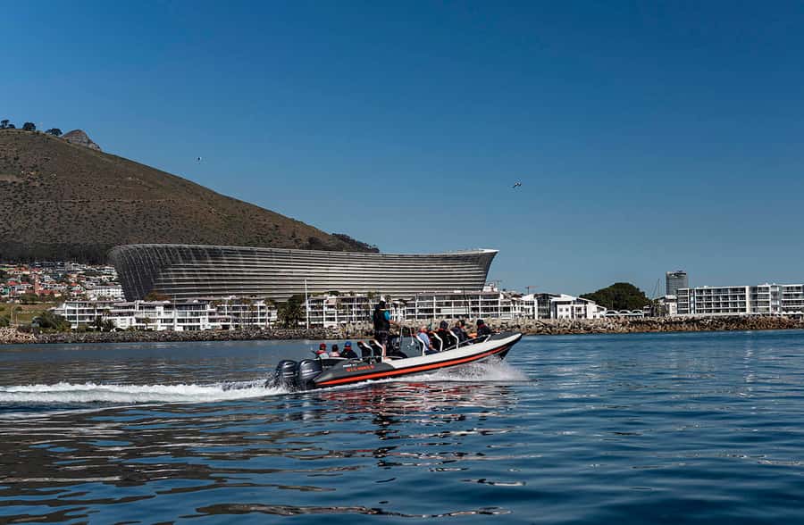 Cape Town: Guided Marine Wildlife Cruise and Cape Point Tour - Why this Cape Town land-and-sea combo works in one day