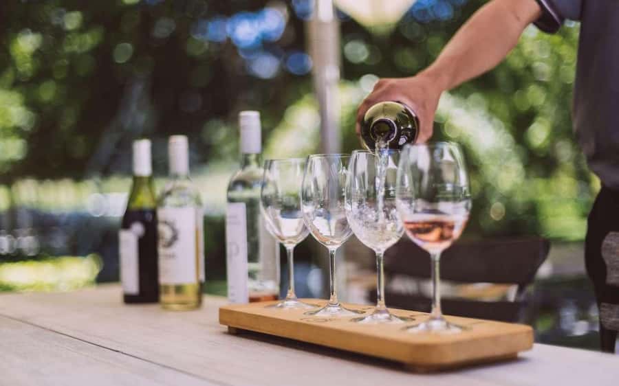 Cape Town: Guided Winelands Tour & Tasting in Stellenbosch - The real draw: a Stellenbosch tasting that respects your time