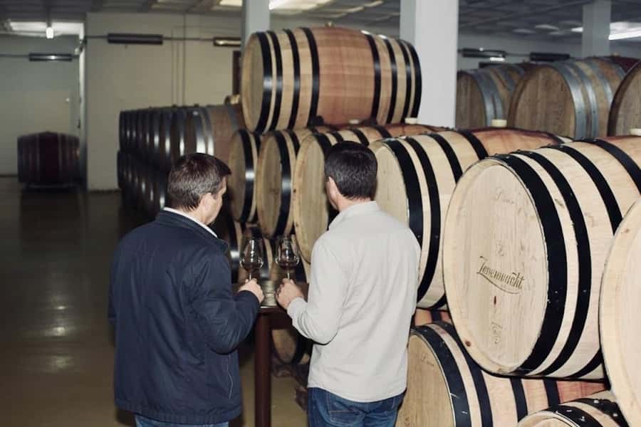 Cape Town: Guided Winelands Tour & Tasting in Stellenbosch - What you should taste and how to taste it