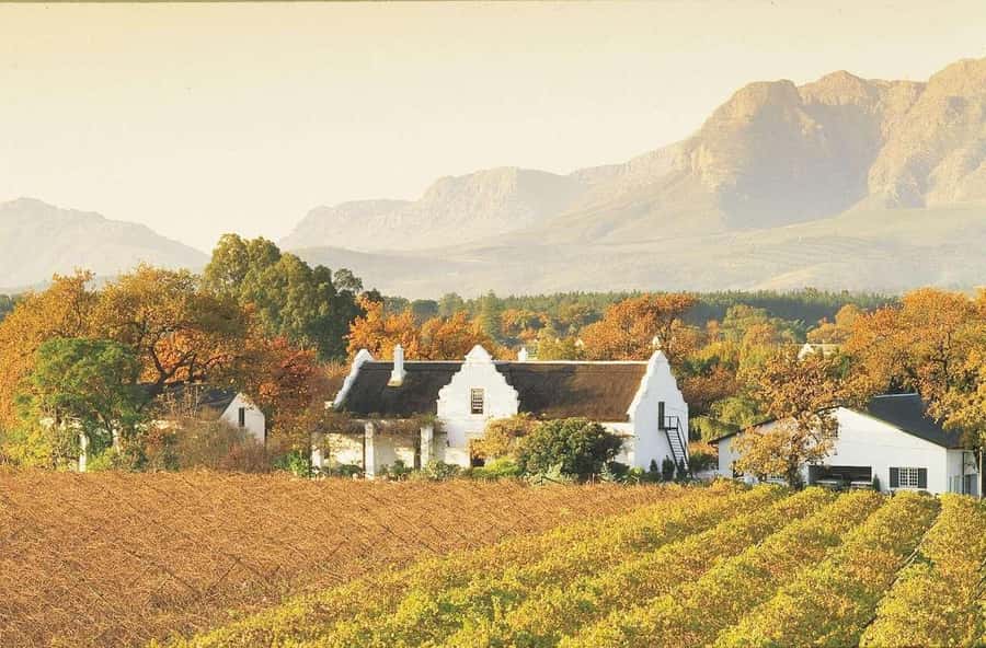 Cape Town: Guided Winelands Tour & Tasting in Stellenbosch - Who this tour suits best