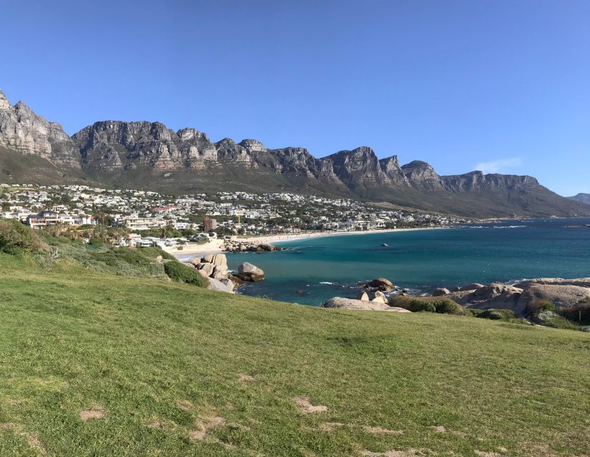 Cape Town: Half-Day Boulders Beach & Penguin Encounter Tour - Bo Kaap color stops for history-forward street vibes and quick photo wins