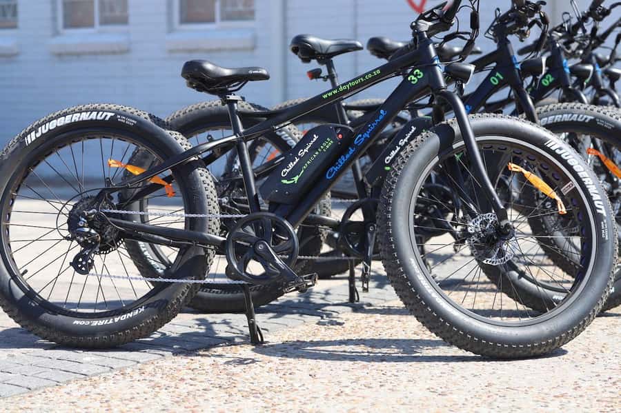 Cape Town: Half-Day e-Bike City Tour - Iziko South African Museum to Bo-Kaap: orientation that pays off later