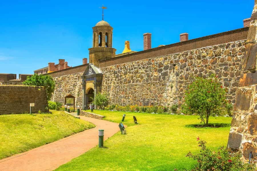 Cape Town: Half-Day Guided City Sightseeing Tour by Bus - A 5-hour Cape Town City Bowl Pickup That Actually Feels Easy
