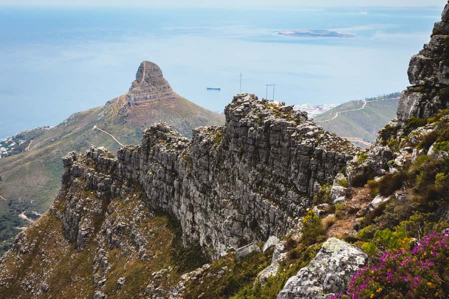 Cape Town: Half-Day India Venster Hike on Table Mountain - Price and logistics, what you pay for at $112 per person