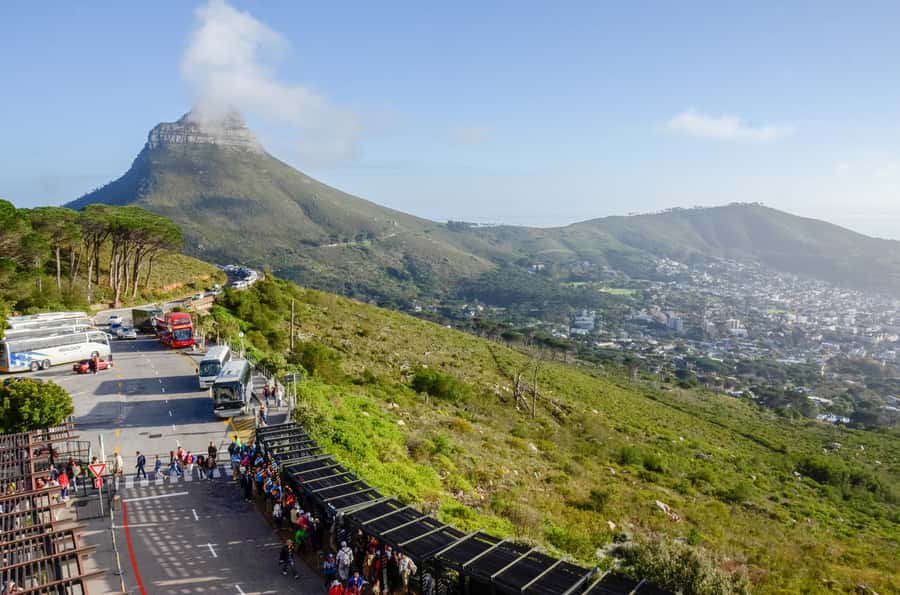 Cape Town: Half Day Table Mountain and Cape Town City Tour - Why this half-day plan works so well in Cape Town