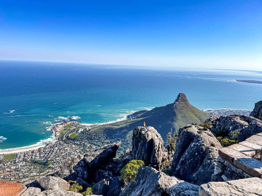 Cape Town: Half Day Table Mountain and Cape Town City Tour - Hotel pickup and the 4-hour rhythm (morning vs afternoon)