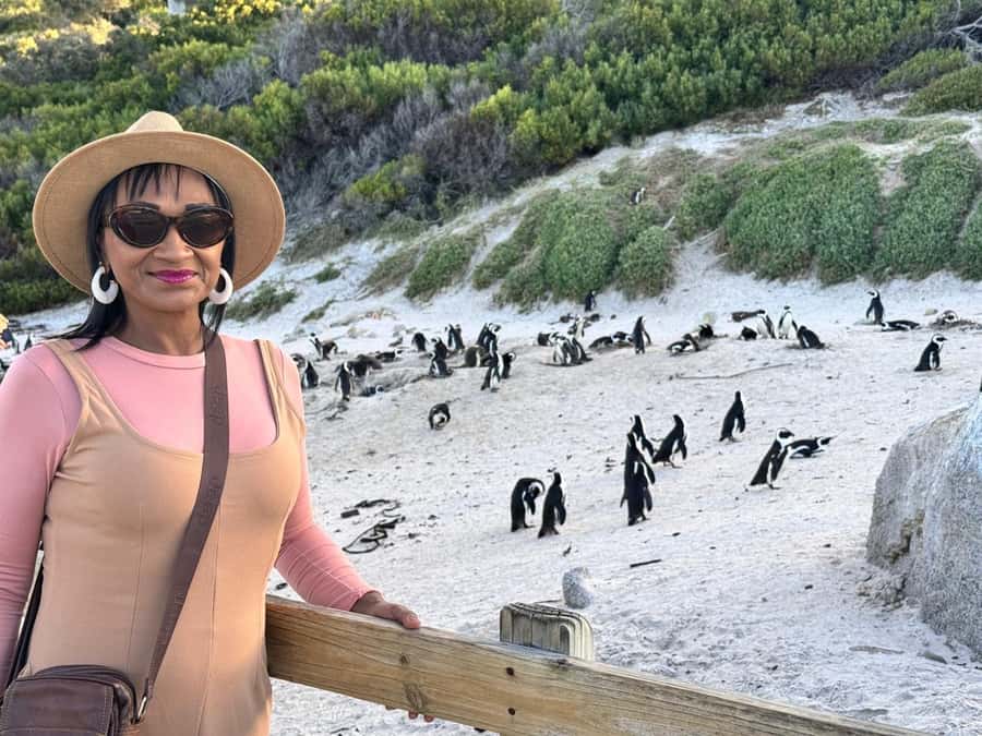 Cape Town: Half-Day Table Mountain and Penguin Group Tour - Maiden’s Cove and Chapmans Peak: Atlantic Views That Pay Off Fast