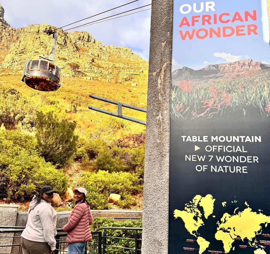 Cape Town: Half-Day Table Mountain and Penguin Group Tour - Should You Book This Cape Town Half-Day Tour?