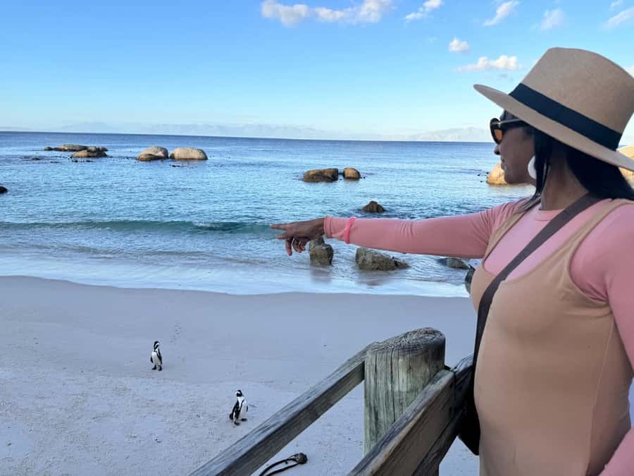 Cape Town: Half-Day Table Mountain and Penguin Group Tour - Table Mountain Cable Car: Panoramas, Weather, and Avoiding the Hassle