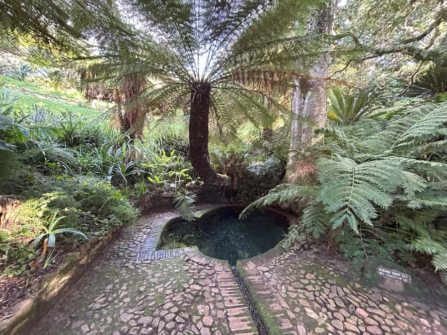 Cape Town: Half Day Table Mountain & Kirstenbosch Gardens - Pacing, Comfort, and When This Half-Day Works Best