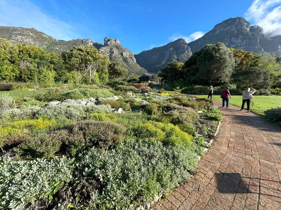 Cape Town: Half Day Table Mountain & Kirstenbosch Gardens - Price and Value: What $83 Includes, and What Adds Up
