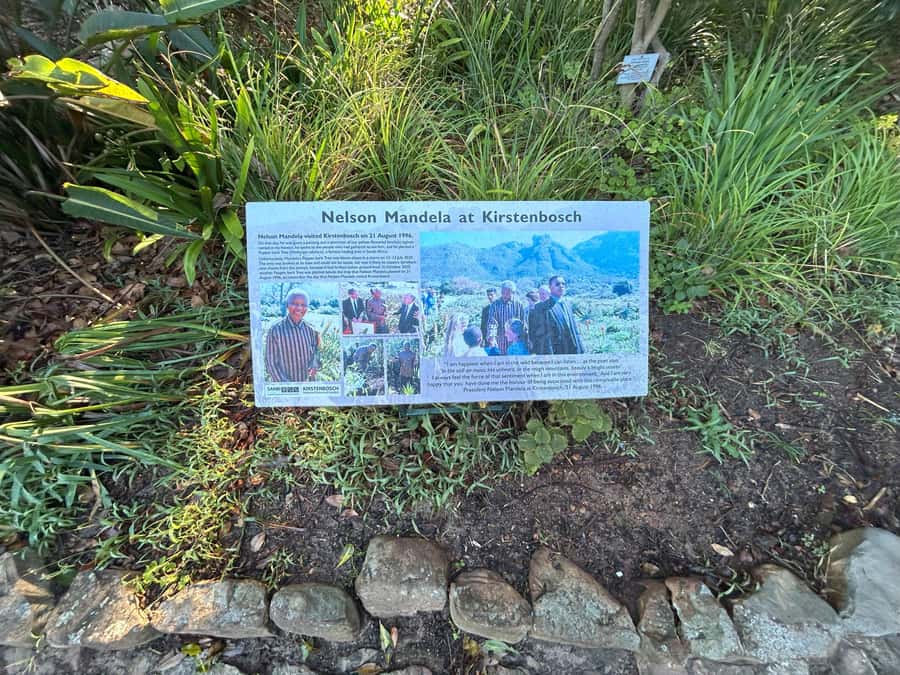Cape Town: Half Day Table Mountain & Kirstenbosch Gardens - Should You Book This Half-Day Table Mountain and Kirstenbosch Tour?