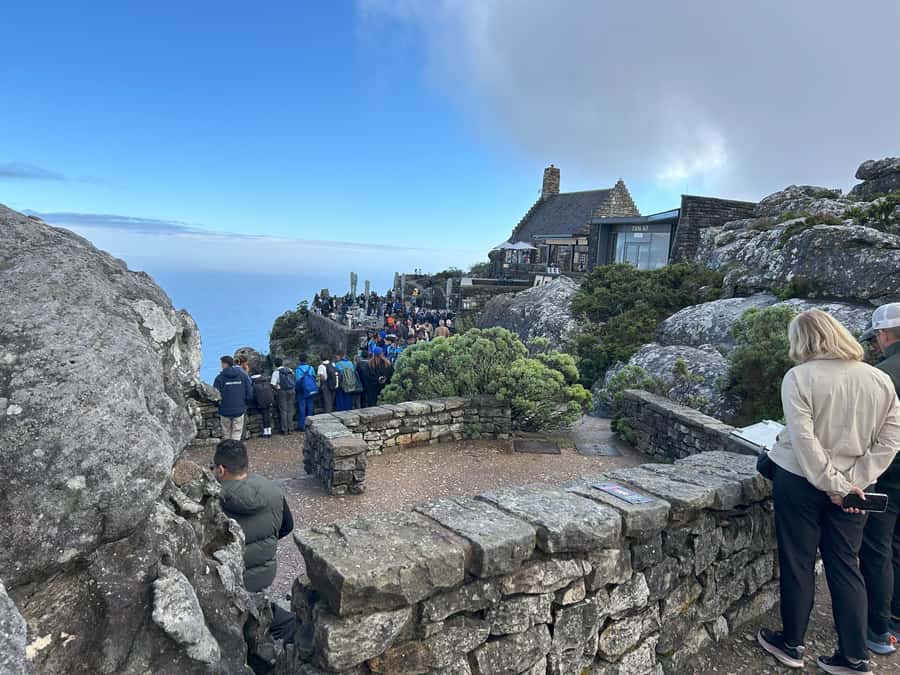 Cape Town: Half Day Table Mountain & Kirstenbosch Gardens - Table Mountain by Cable Car, Plus a Guided Fynbos Walk