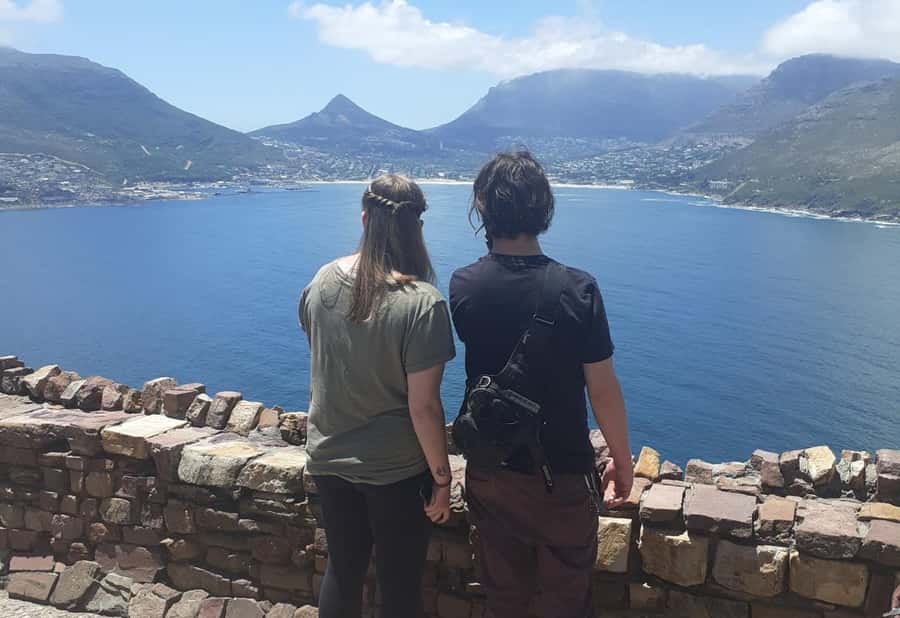 Cape Town: Halfday African Penguin tour - A 5-hour Cape Town penguin day that actually fits