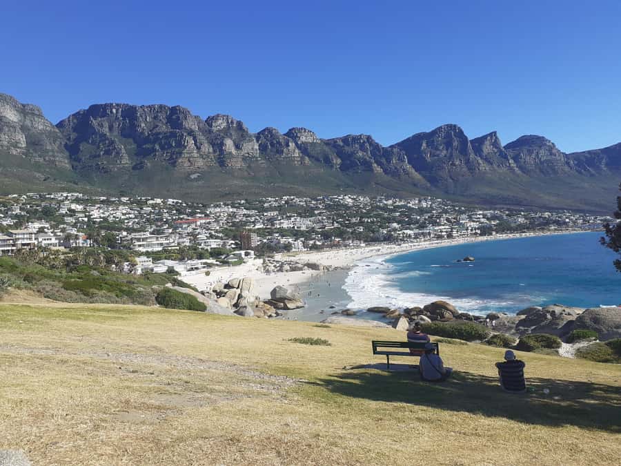 Cape Town: Halfday African Penguin tour - Maiden’s Cove tidal pool and the millionaire-paradise feel