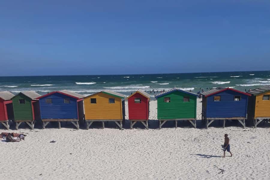 Cape Town: Halfday African Penguin tour - Simon’s Town pass-by, then 1.5 hours at Boulders Beach