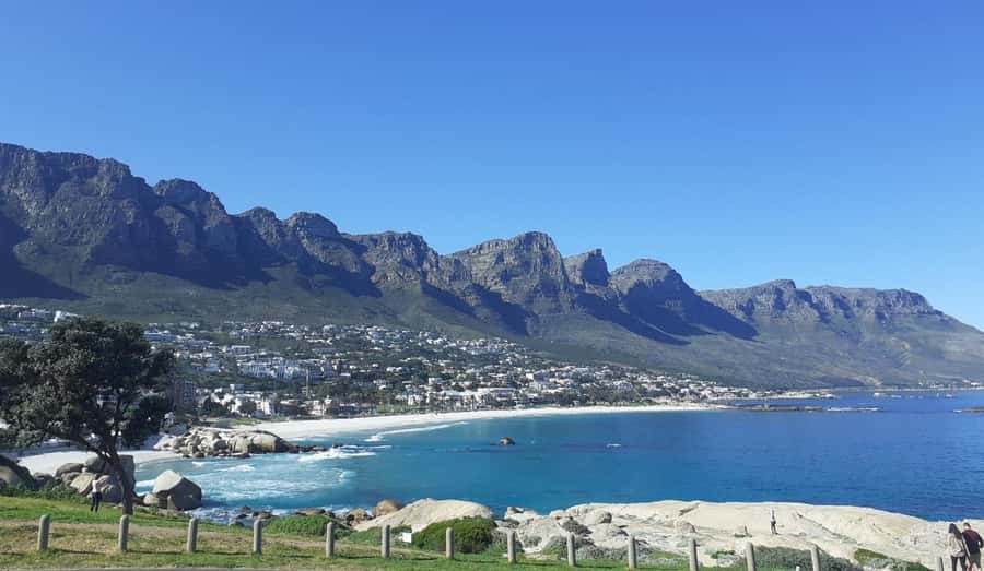 Cape Town: Halfday African Penguin tour - Price and what you really get for $77