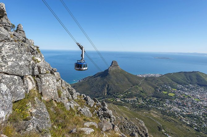 Cape Town Halfday City and Table Mountain Tour - Key highlights to expect