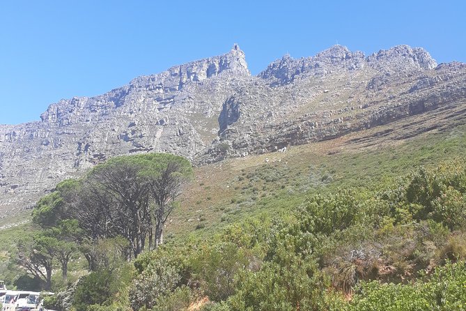 Cape Town Halfday City and Table Mountain Tour - Price and what you still need to budget for