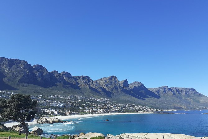 Cape Town Halfday City and Table Mountain Tour - Table Mountain cable car: the guided top and the 360 view