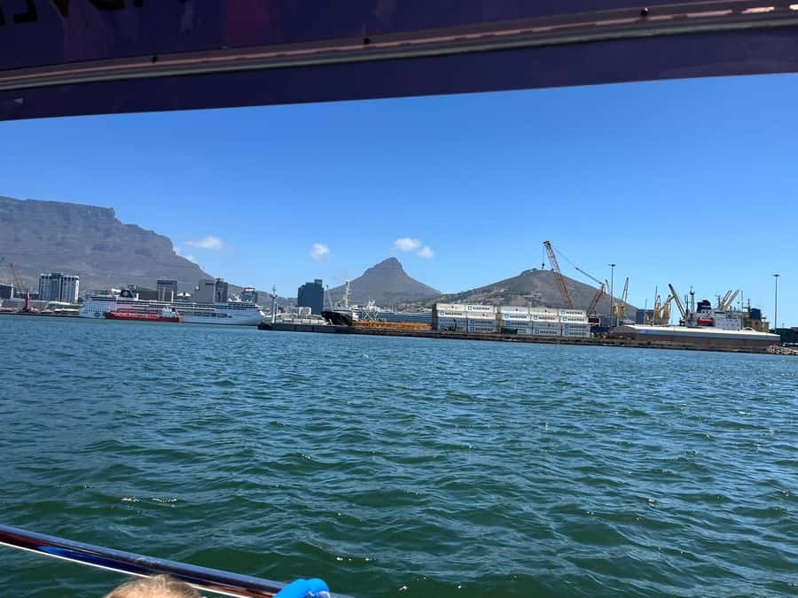 Cape Town: Harbor Cruise - Finding your way to Wild Horizons and the Dawn boat