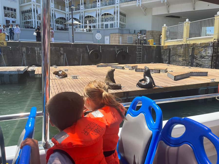 Cape Town: Harbor Cruise - What to bring so the cruise feels comfortable