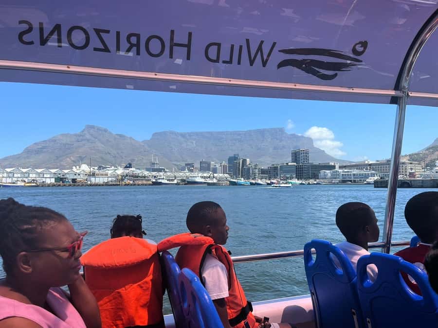 Cape Town: Harbor Cruise - Is the Dawn harbor cruise right for you?
